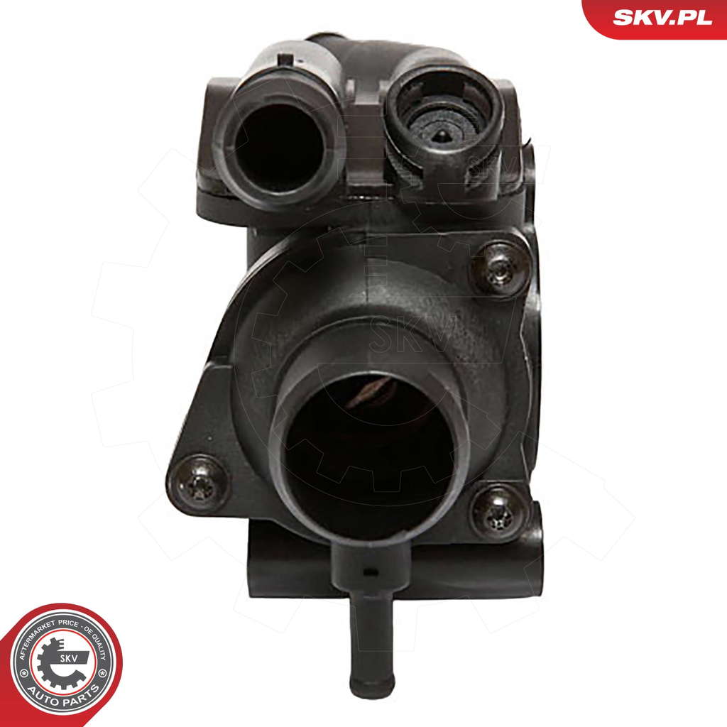 Thermostat d'eau