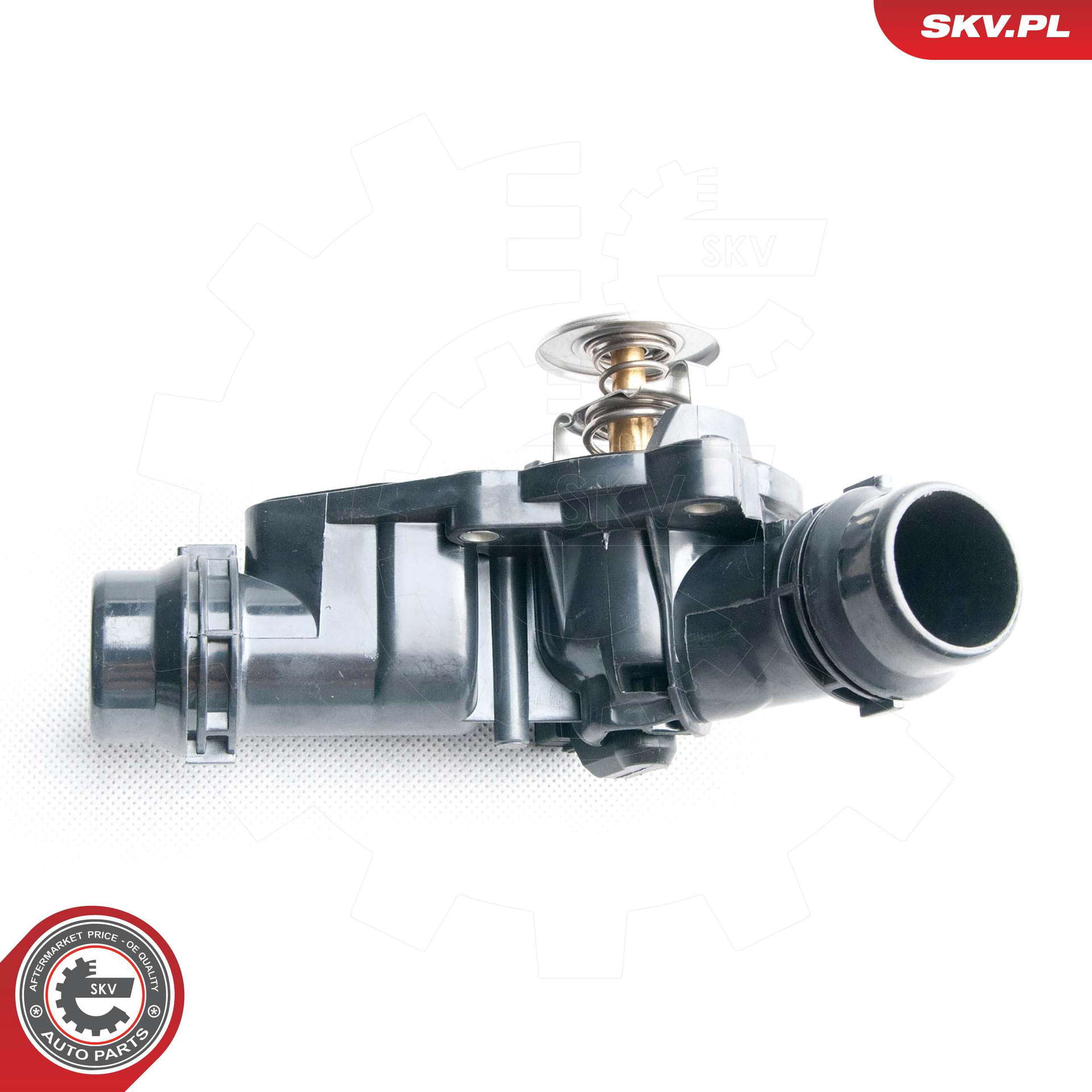 20SKV031_PROD_02