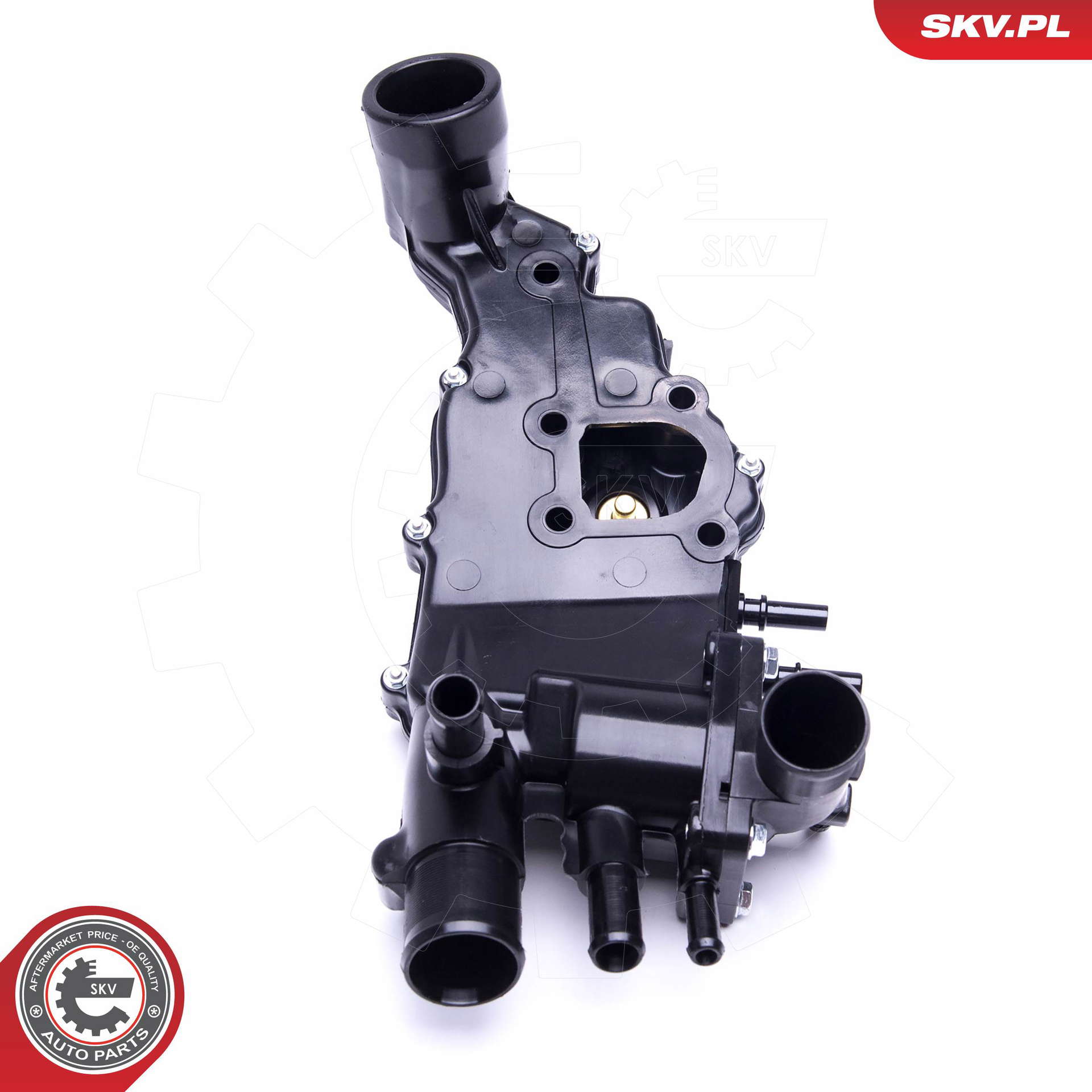 20SKV113_PROD_02