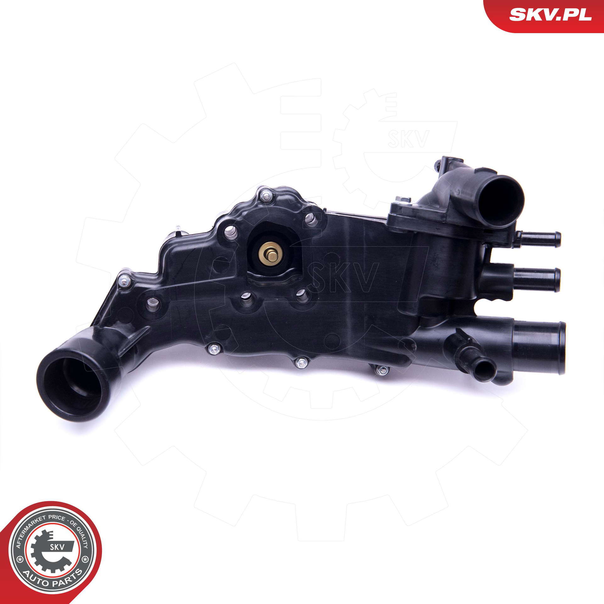 20SKV117_PROD_01