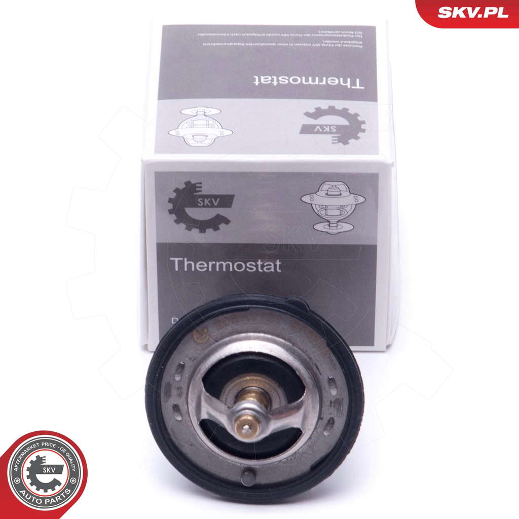 Thermostat d'eau