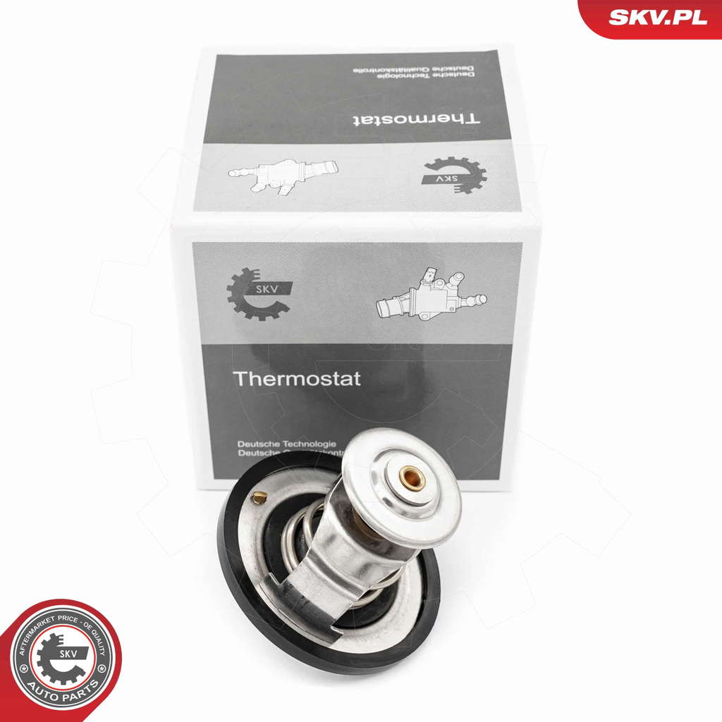 Thermostat d'eau