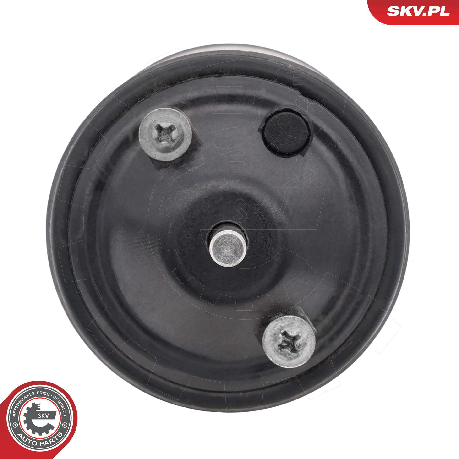 20SKV268_PROD_03