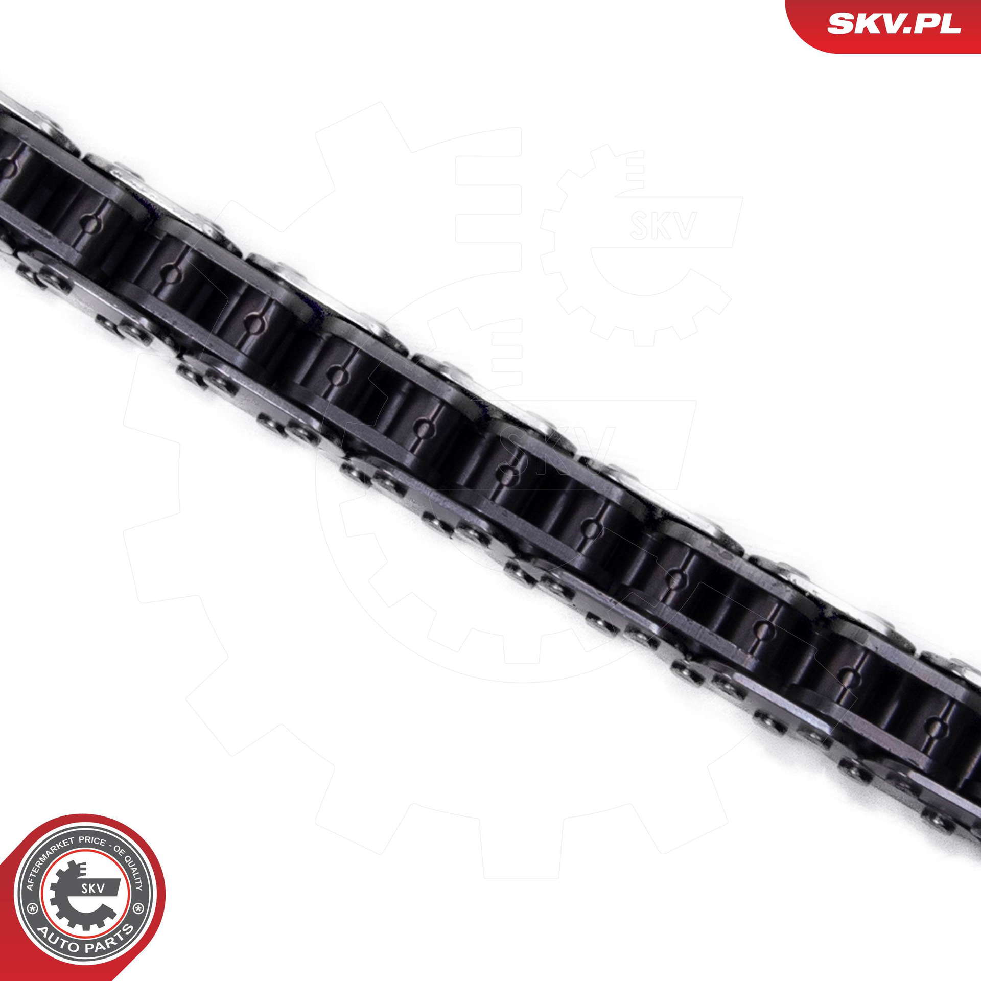 21SKV249_PROD_02