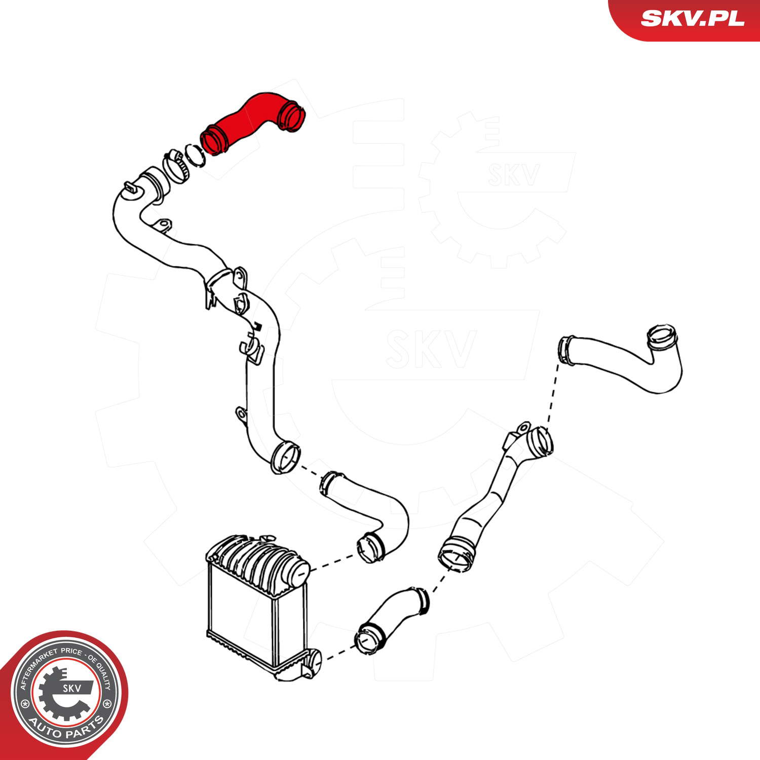 24SKV010_PROD_03