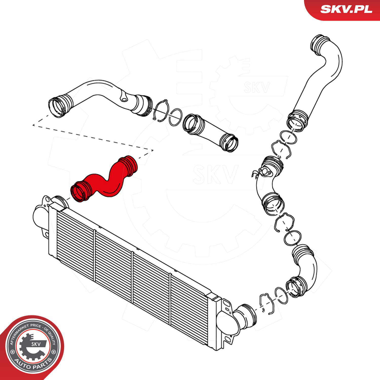 24SKV015_PROD_02