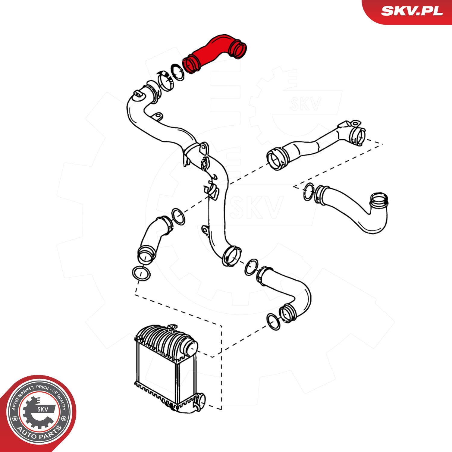 24SKV043_PROD_02