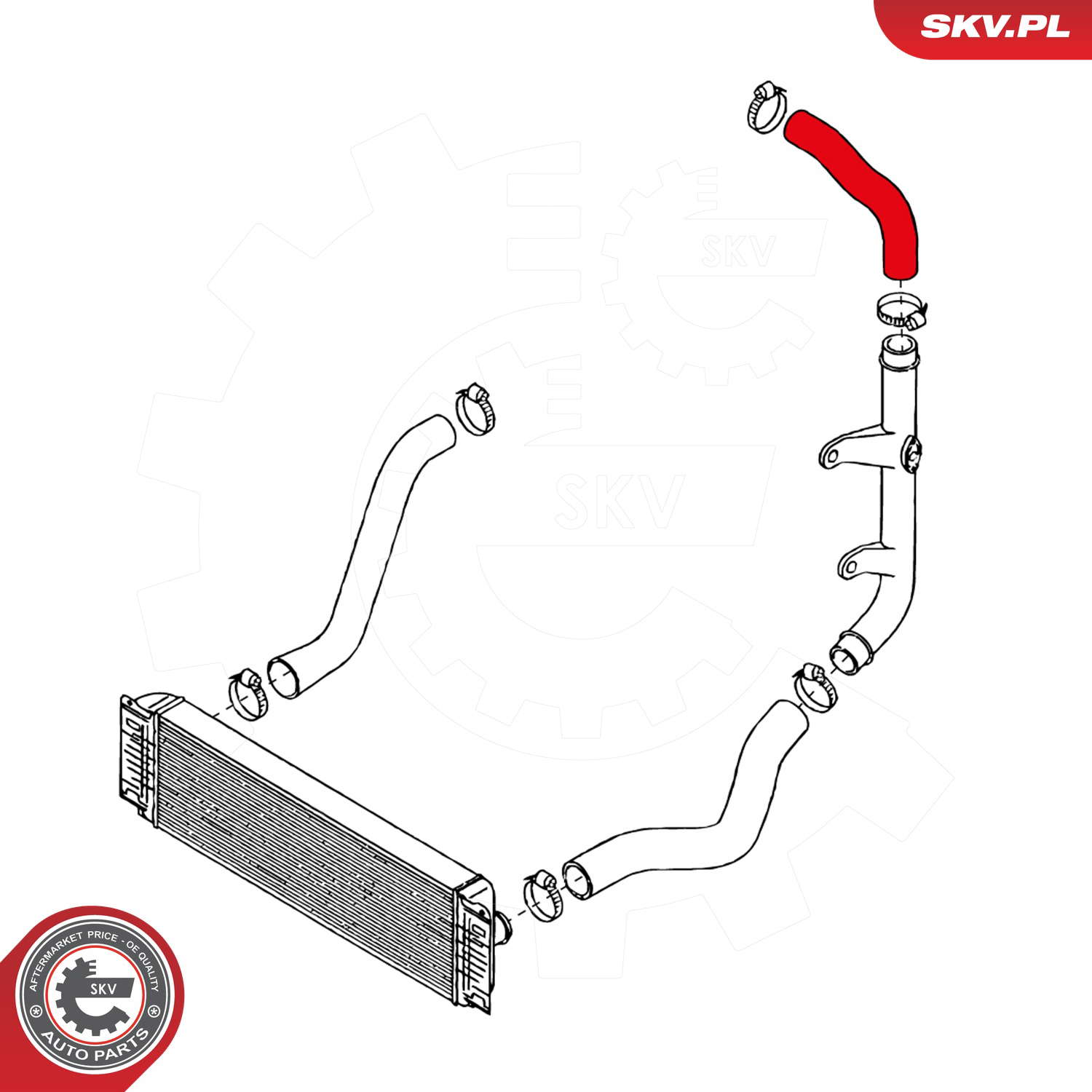 24SKV066_PROD_02