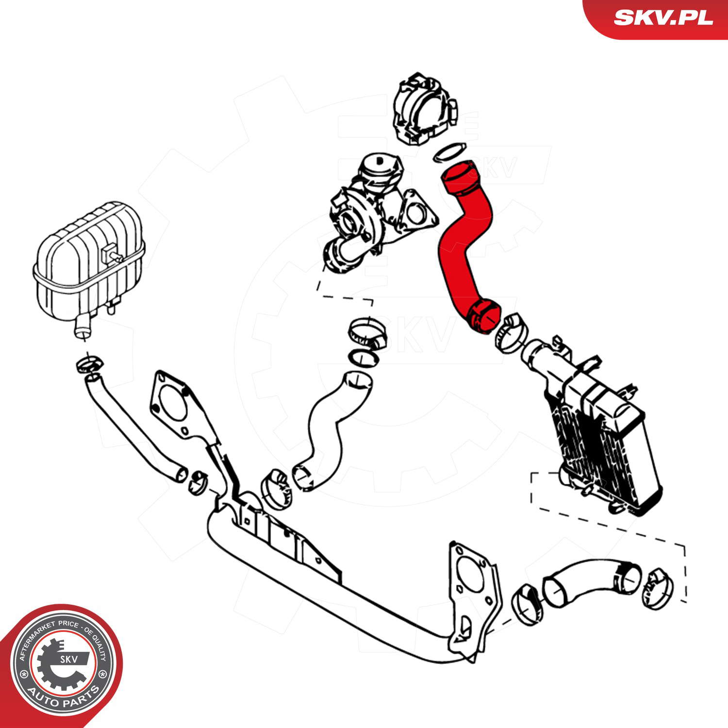 24SKV108_PROD_02