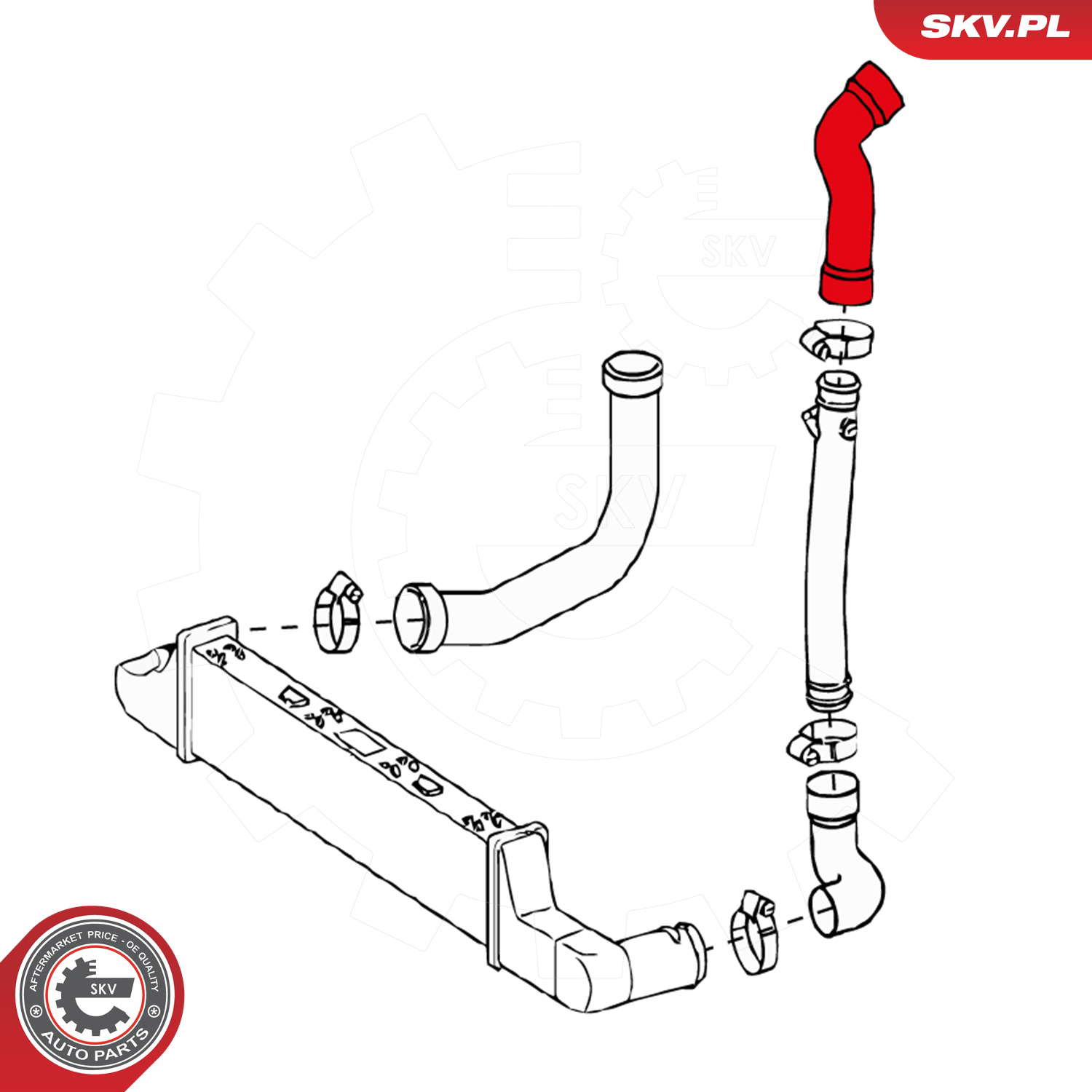 24SKV137_PROD_03