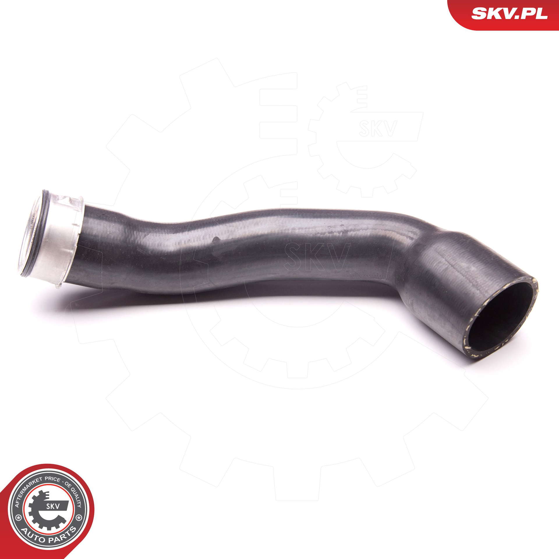 24SKV155_PROD_01