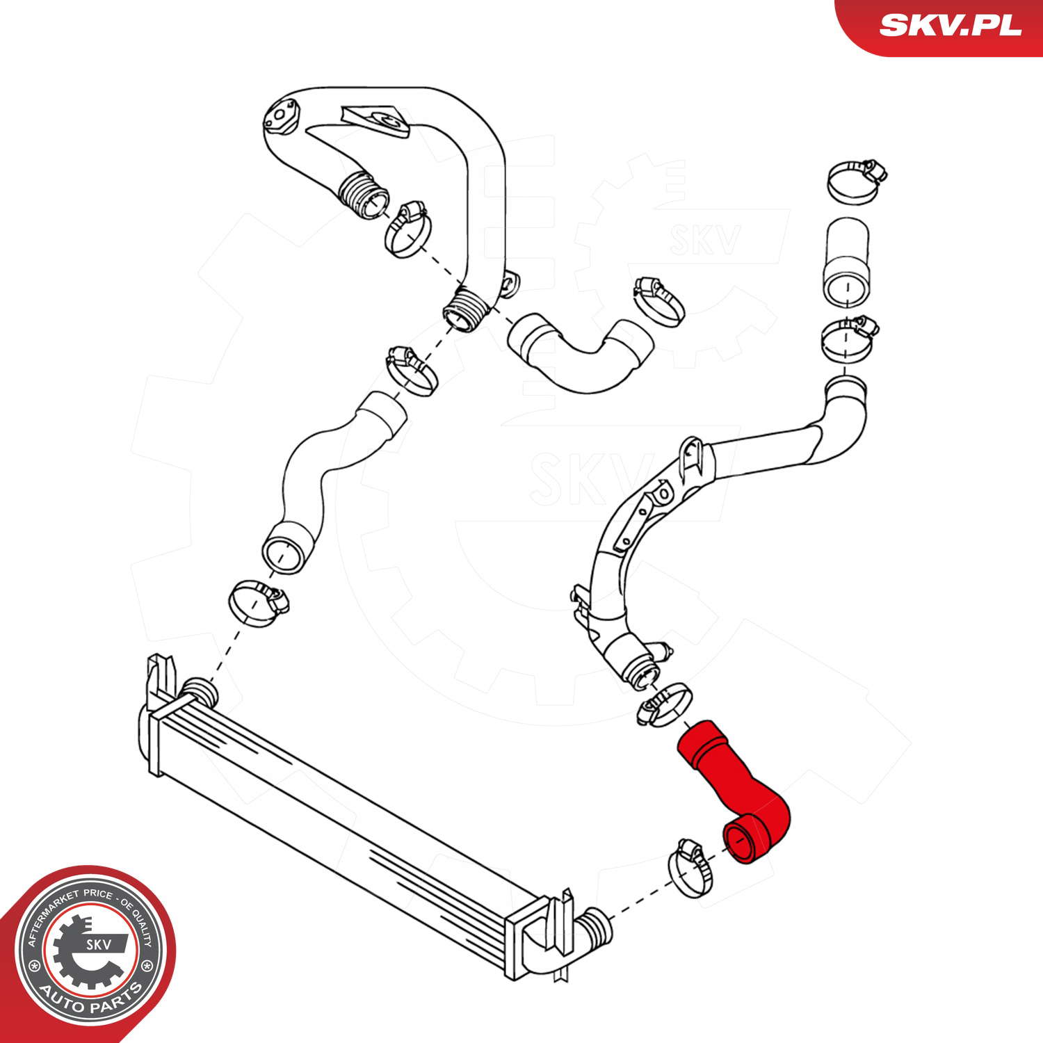 24SKV189_PROD_03