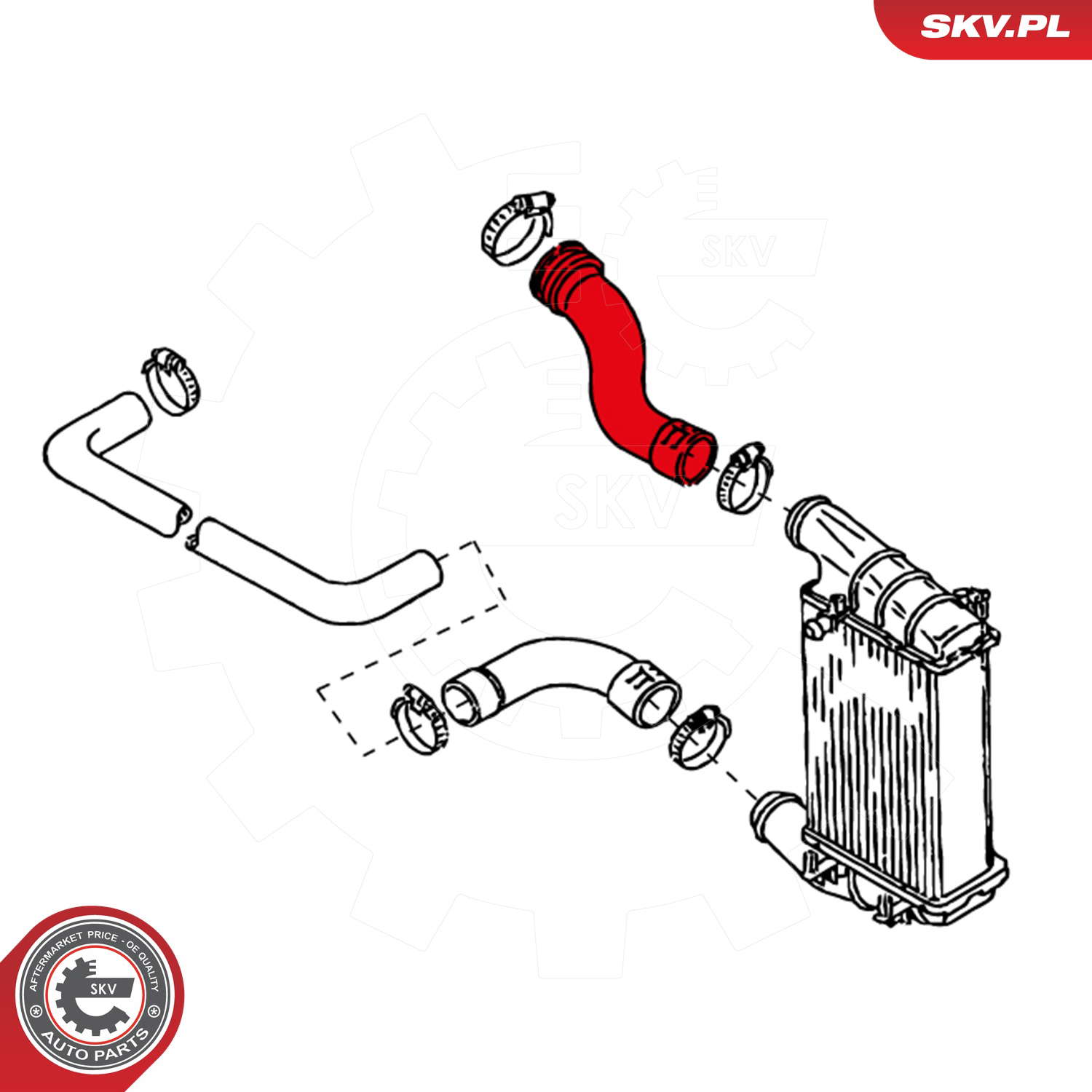 24SKV199_PROD_03
