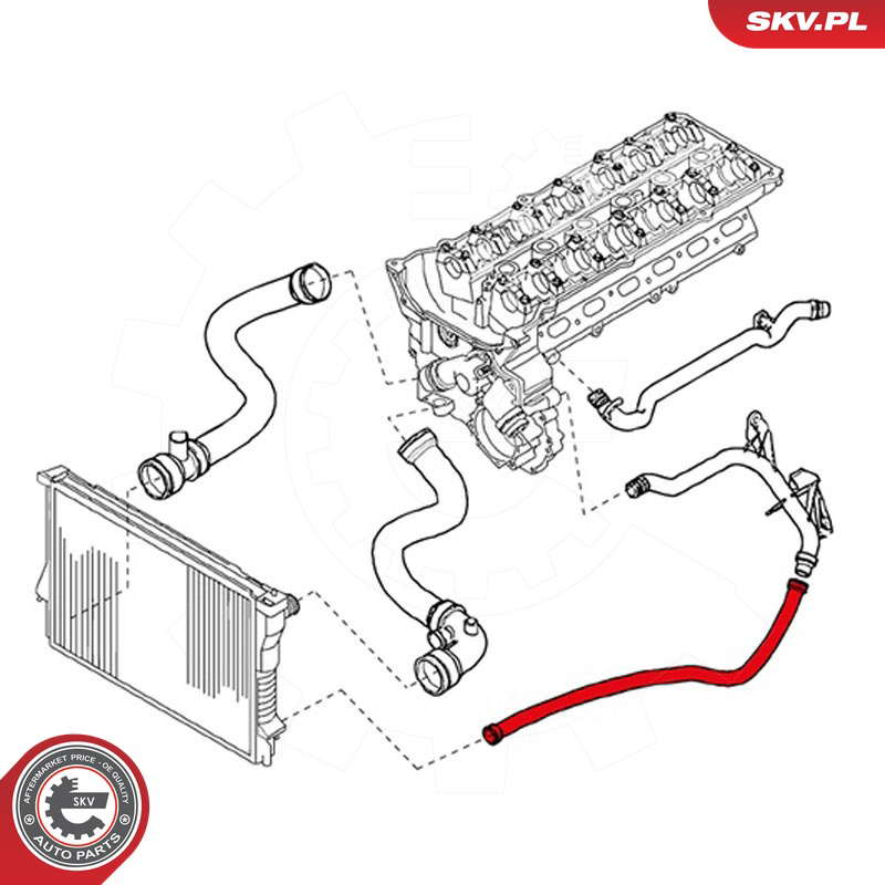 24SKV203_PROD_02