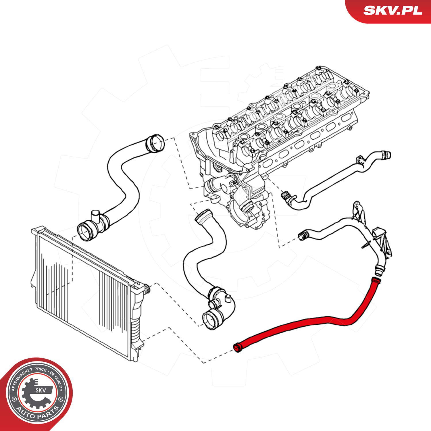 24SKV203_PROD_03