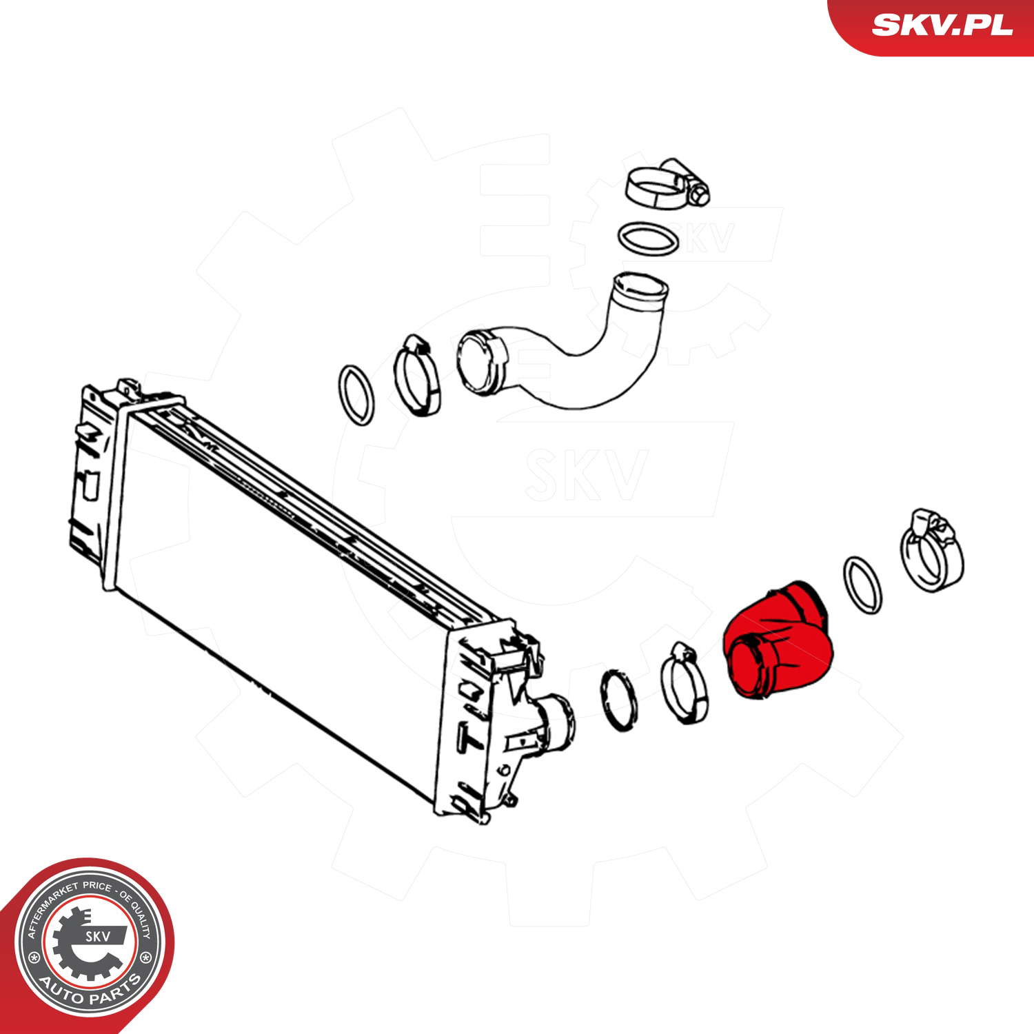 24SKV605_PROD_03