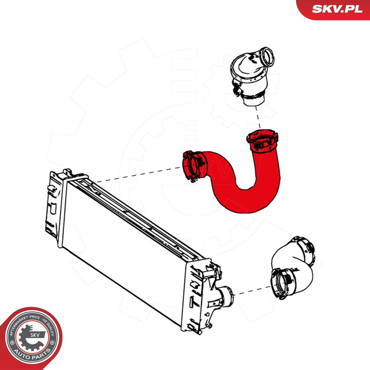 24SKV762_PROD_03