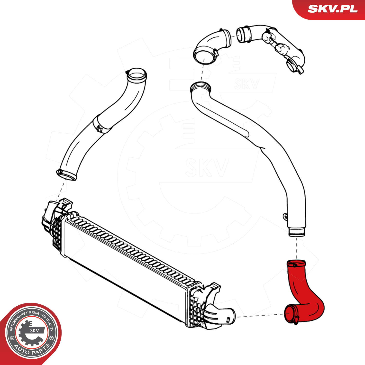 24SKV772_PROD_03
