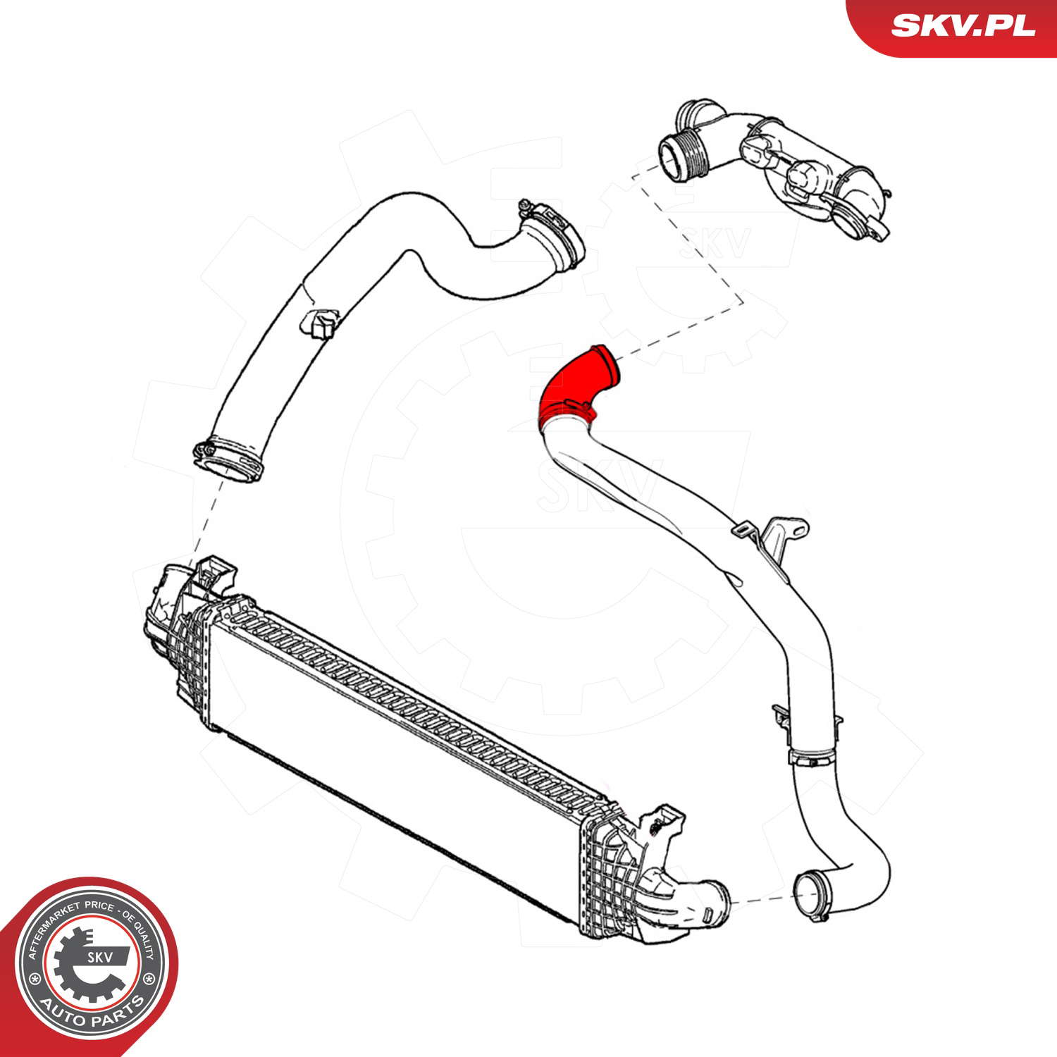 24SKV975_PROD_03