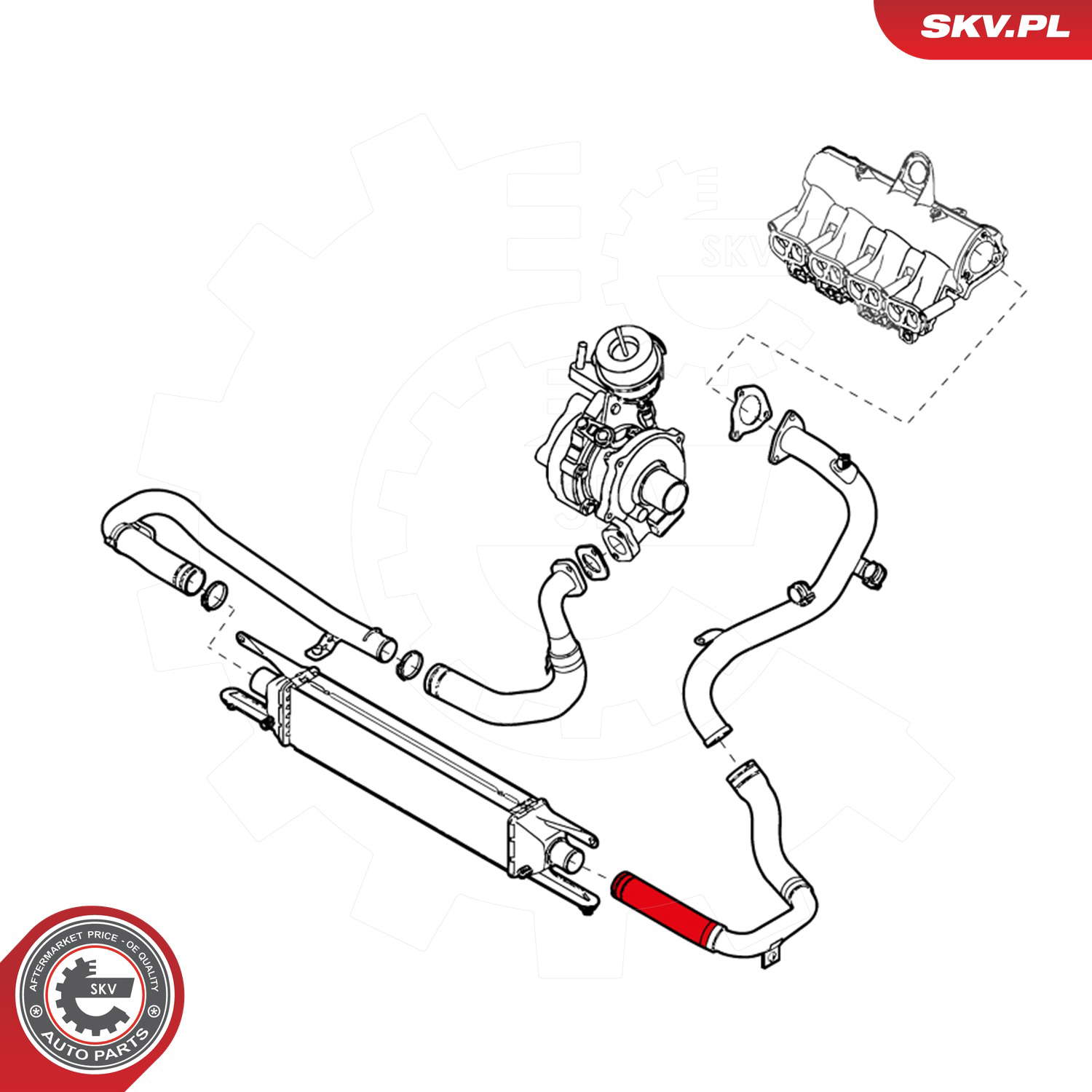 24SKV994_PROD_03