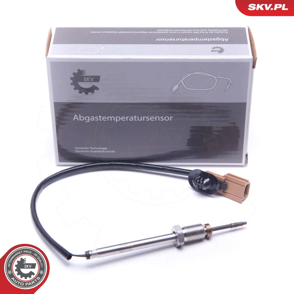 Palpeur de température des gaz