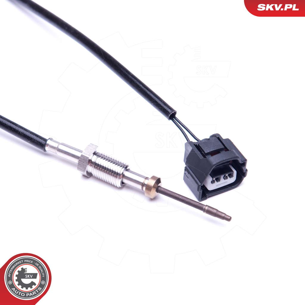 Palpeur de température des gaz