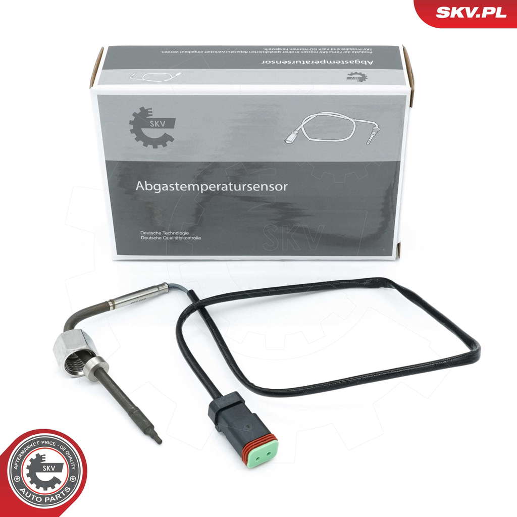 Palpeur de température des gaz