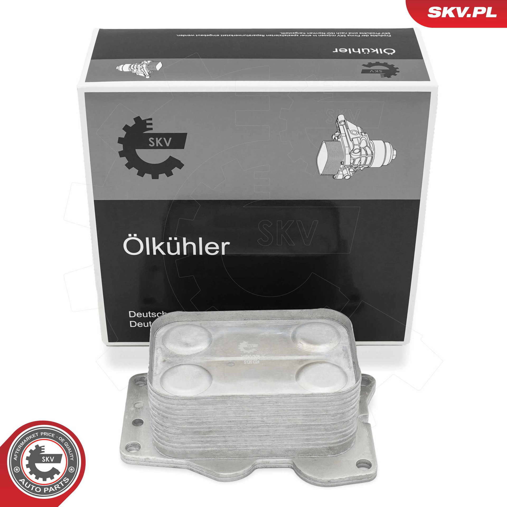 31SKV308_PROD_04