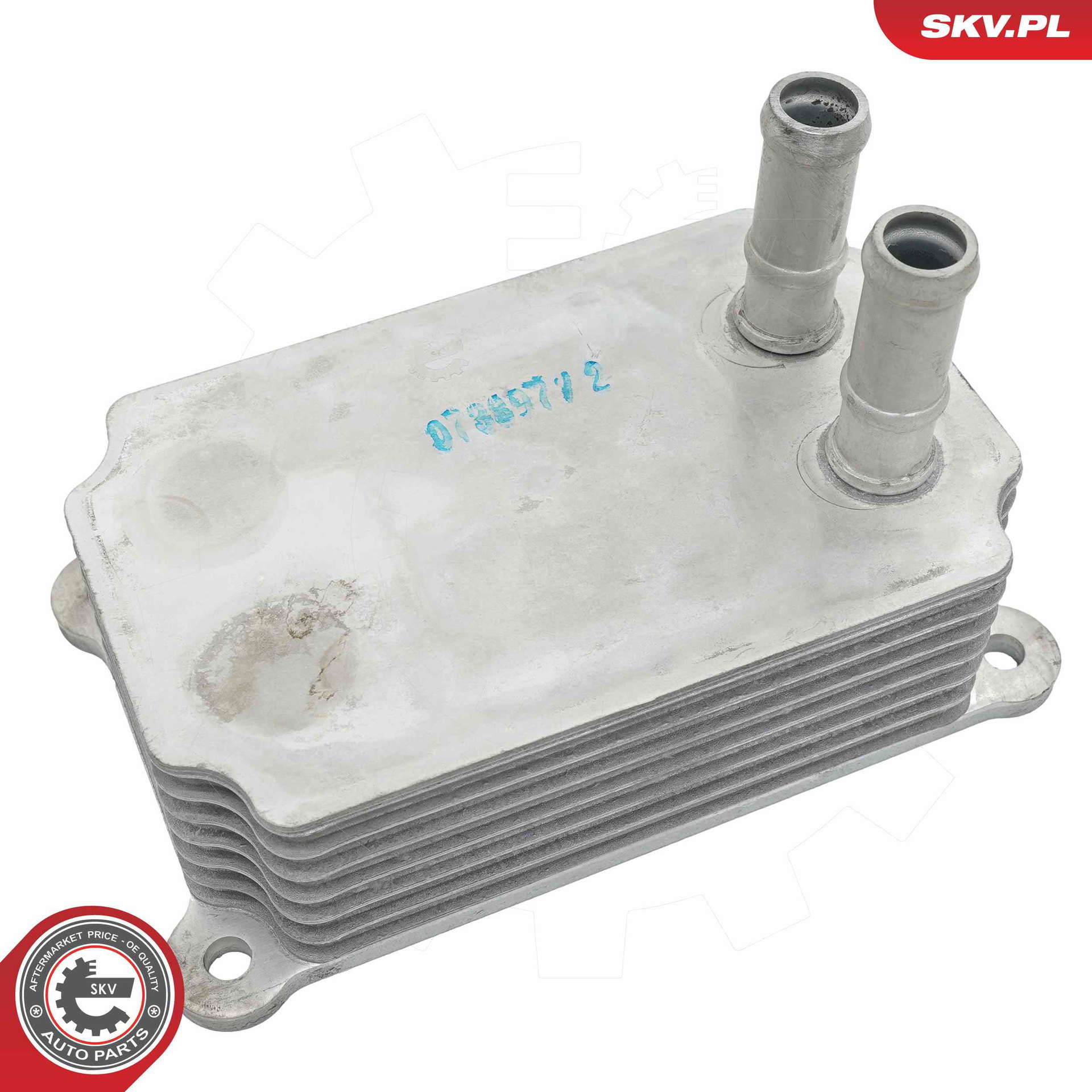 31SKV339_PROD_02