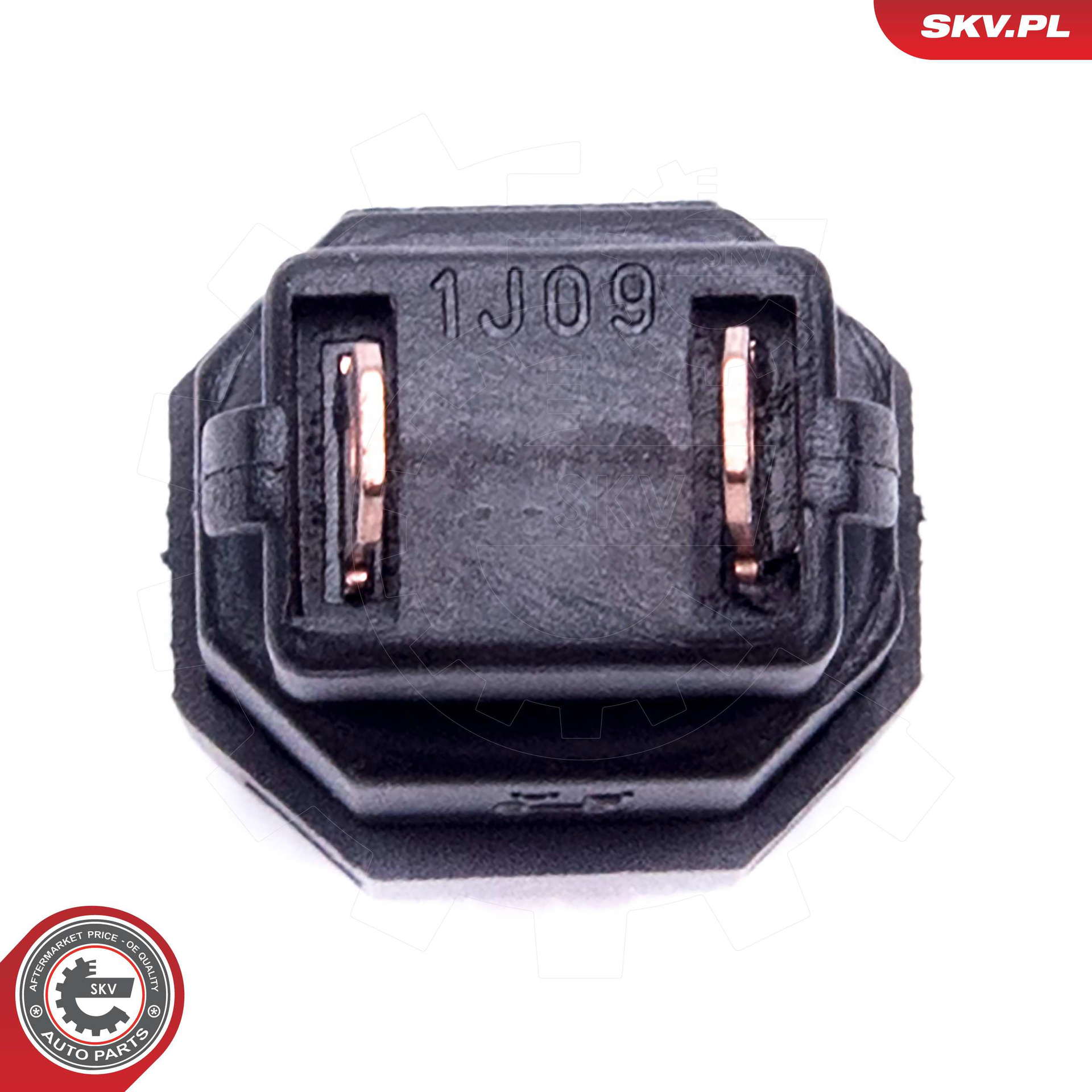 38SKV810_PROD_02