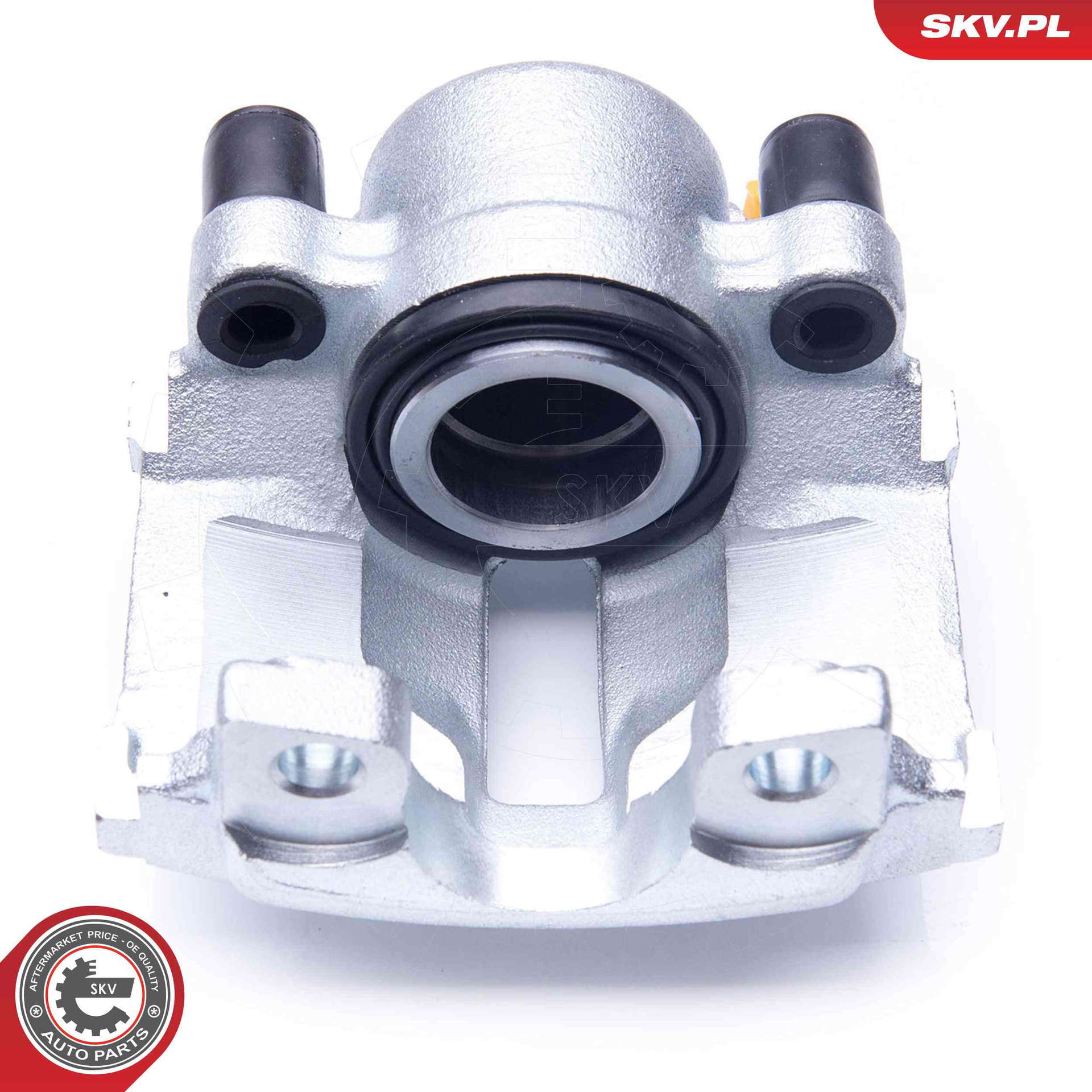 42SKV164_PROD_01