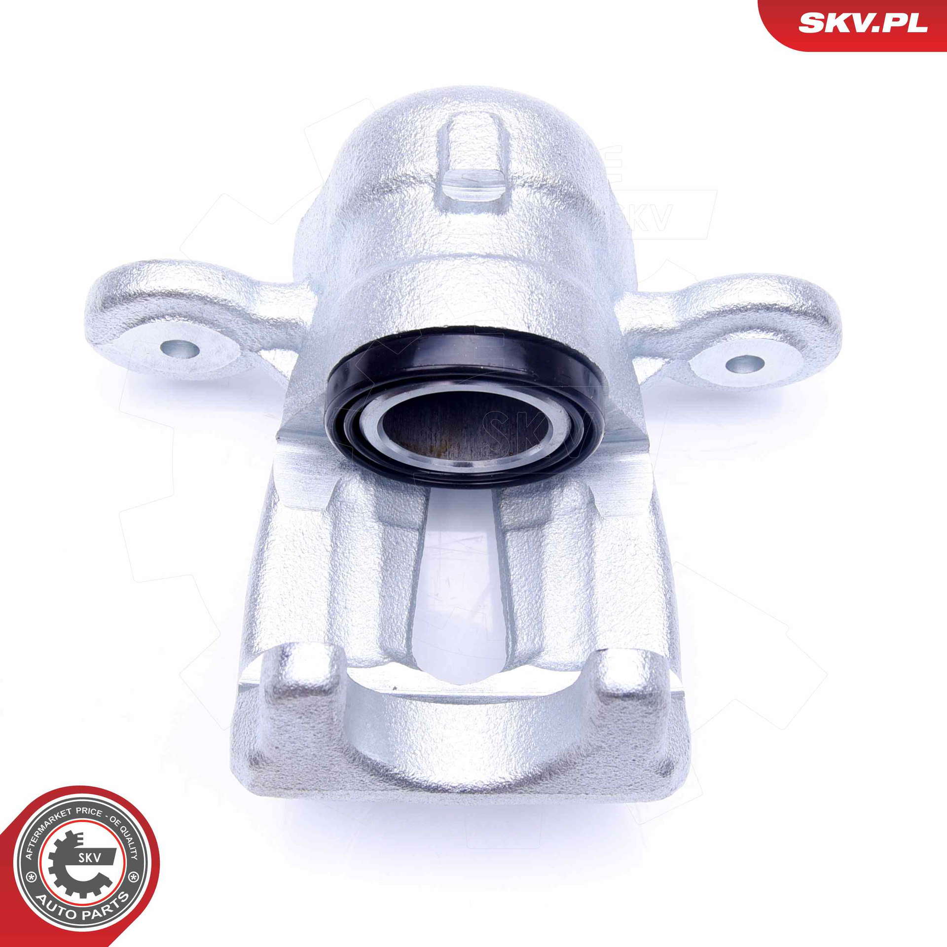 42SKV603_PROD_06