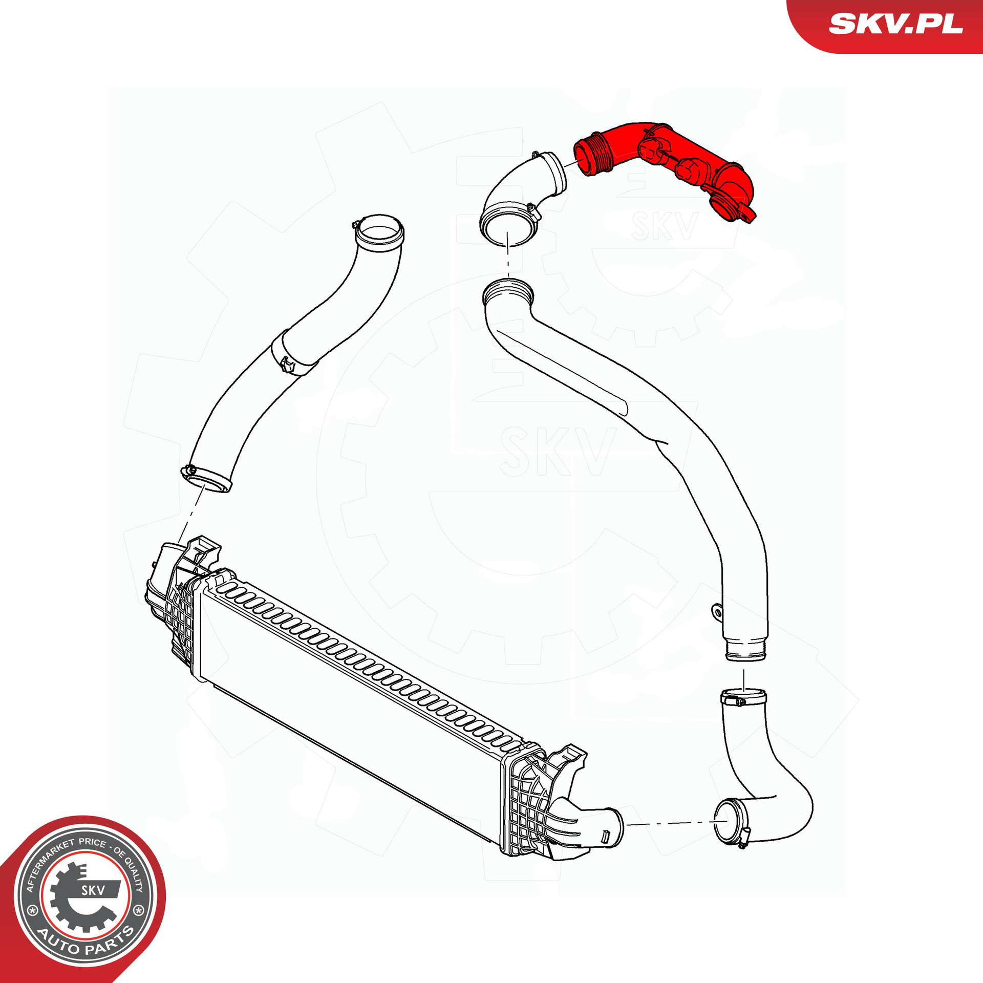 43SKV309_PROD_03
