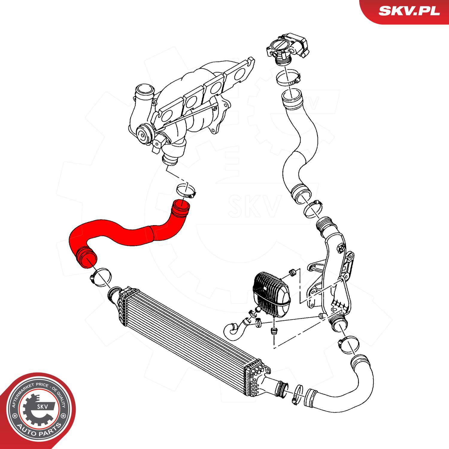 43SKV455_PROD_03
