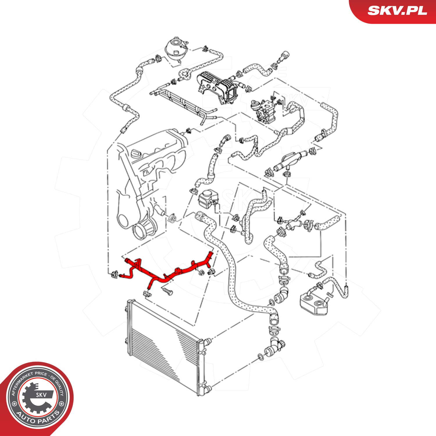 43SKV767_PROD_03