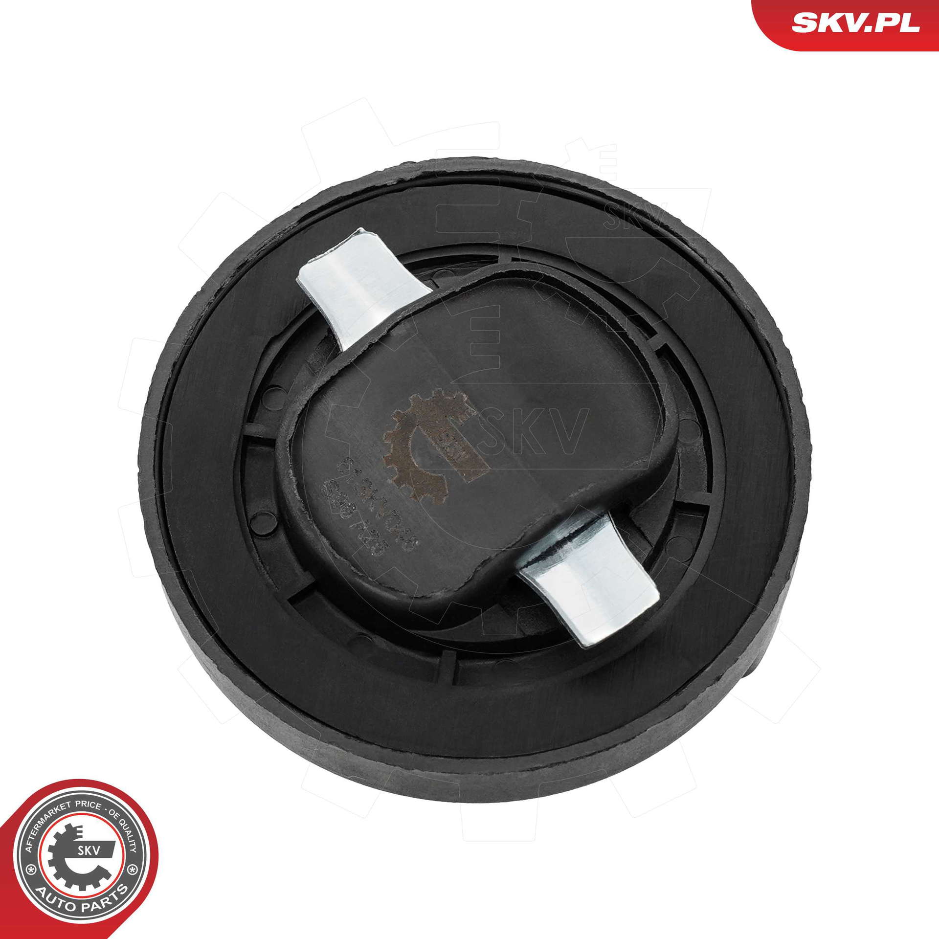 61SKV046_PROD_02