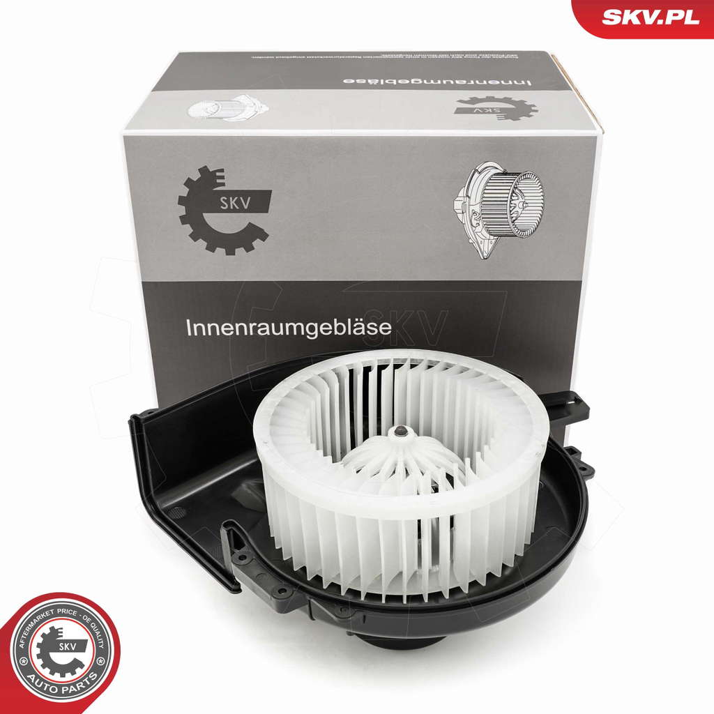 Pulseur d'air habitacle