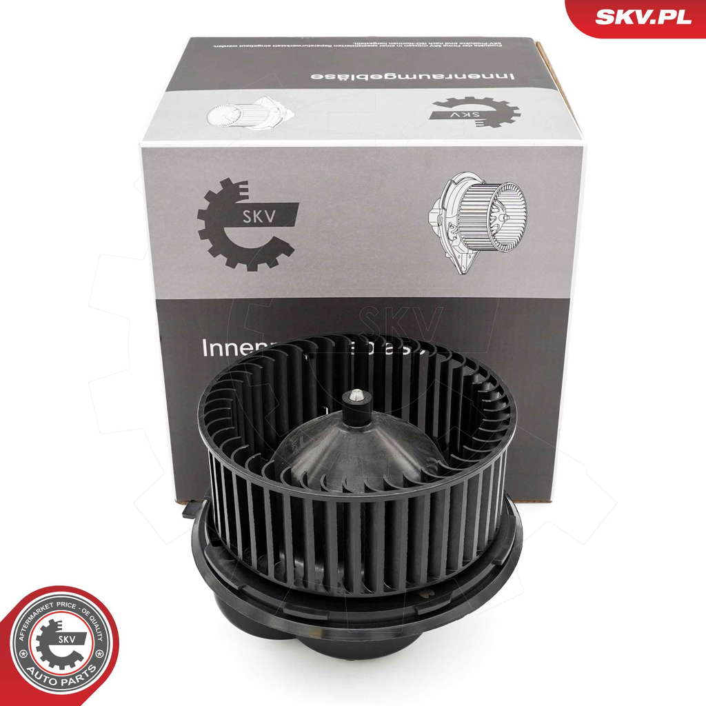 Pulseur d'air habitacle
