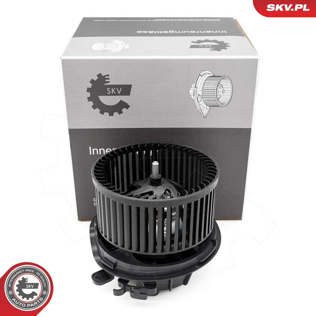 Pulseur d'air habitacle