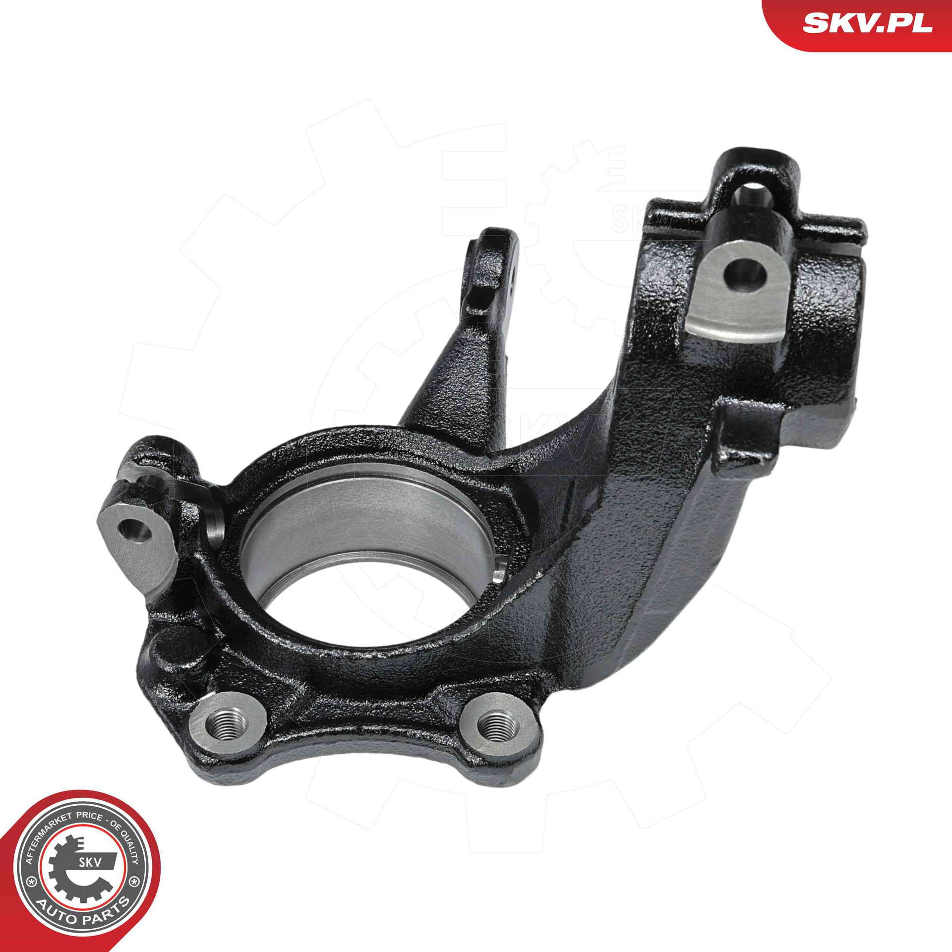 73SKV301_PROD_01