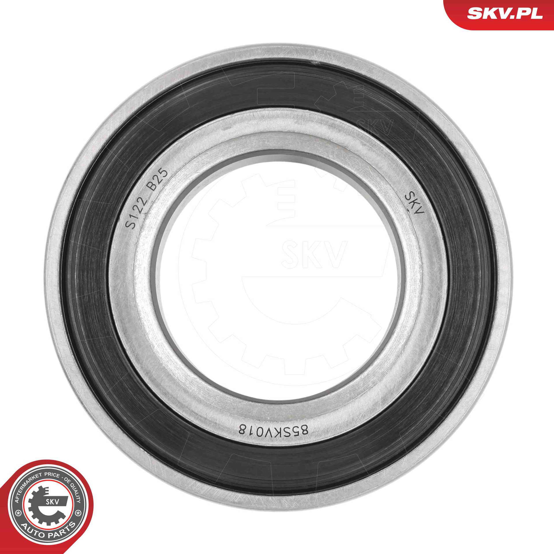 85SKV018_PROD_02
