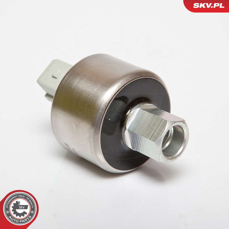 95SKV109_PROD_01