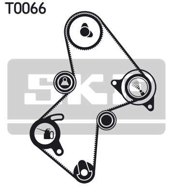 T0066