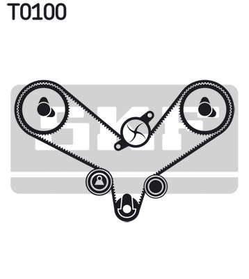 T0100
