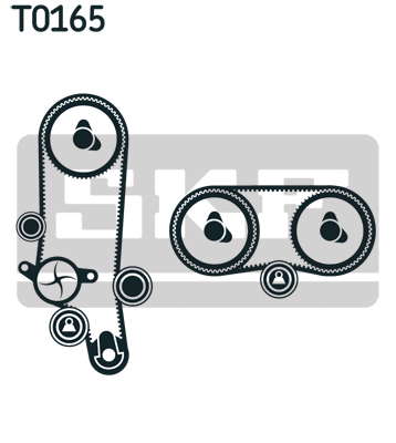 T0165
