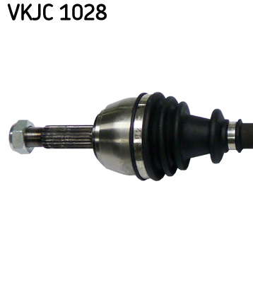 VKJC_1028_2