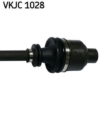 VKJC_1028_3