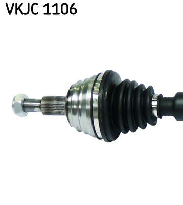 VKJC_1106_2