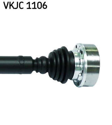 VKJC_1106_3