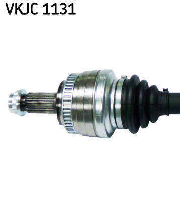 VKJC_1131_2